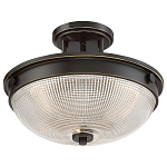 Потолочный светильник со стеклянным плафоном в виде купола Quoizel варинант исполнения - 8 | Loft Concept в Саратове