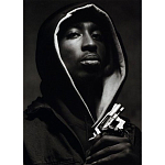 Подарочная книга величайший фотограф Альберт Уотсон The Vienna album Albert Watson варинант исполнения - 2 | Loft Concept в Саратове