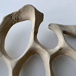 Блюдо «Бежевый коралл» варинант исполнения - 3 | Loft Concept в Саратове