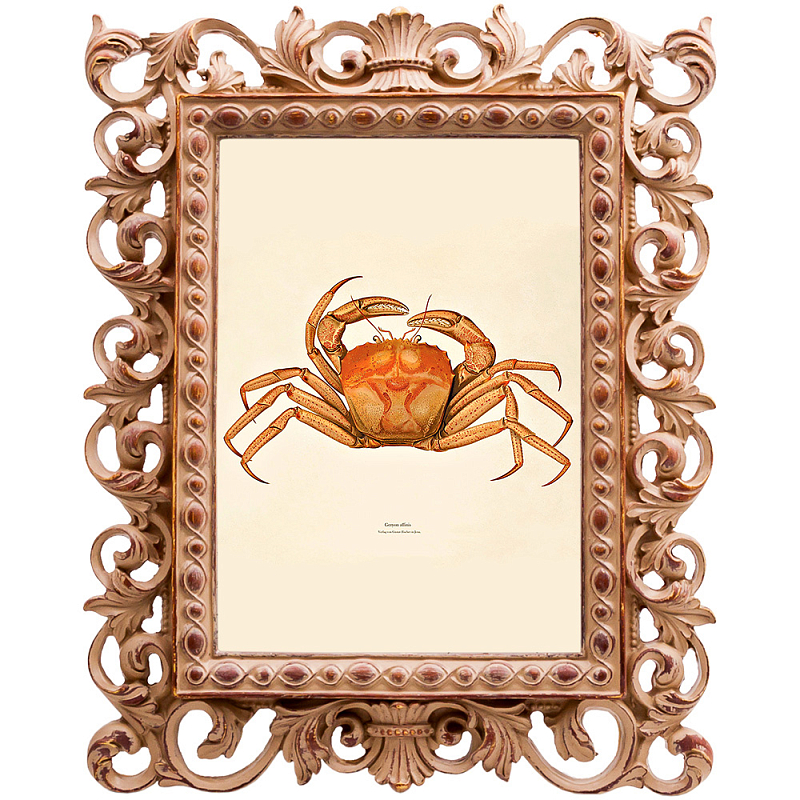 Постер Ocher Crab Poster Бежевый Оранжевый в Саратове | Loft Concept 