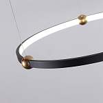 Люстра подвесная светодиодная черный металл Ring Horizontal варинант исполнения - 10 | Loft Concept в Саратове