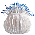 Статуэтка тропический фрукт Tropical Fruit White Blue варинант исполнения - 3 | Loft Concept в Саратове