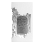 Встраиваемый в стену гипсовый светильник под покраску с эффектом разрушенной стены Antiquity Athena варинант исполнения - 2 | Loft Concept в Саратове