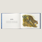 Лимитированная подарочная книга HERMES Fierce and Fragile book, English version варинант исполнения - 3 | Loft Concept в Саратове
