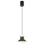 Подвесной светильник Celevis Black варинант исполнения - 2 | Loft Concept в Саратове