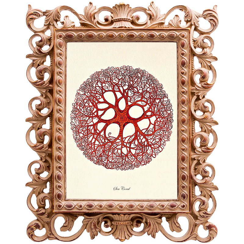 Постер Red Coral Poster 6 Бежевый Красный Постер Red Coral Poster 6 Бежевый Красный в Саратове | Loft Concept