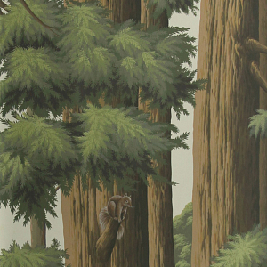 Обои ручная роспись Redwoods Colourway SC-281 on scenic paper