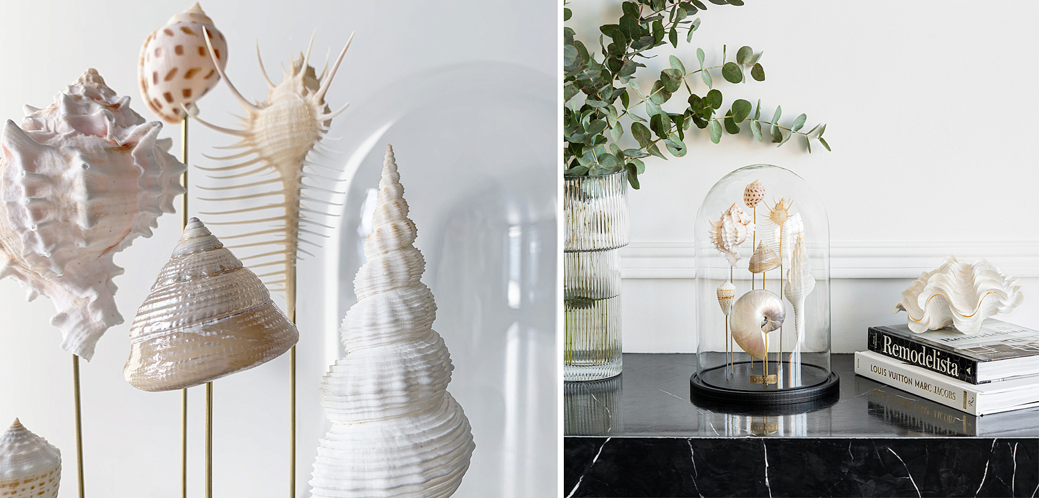 Статуэтка Shell Collection Glass Cloche 1 Статуэтка Shell Collection Glass Cloche 1 - Loft-Concept в Саратове