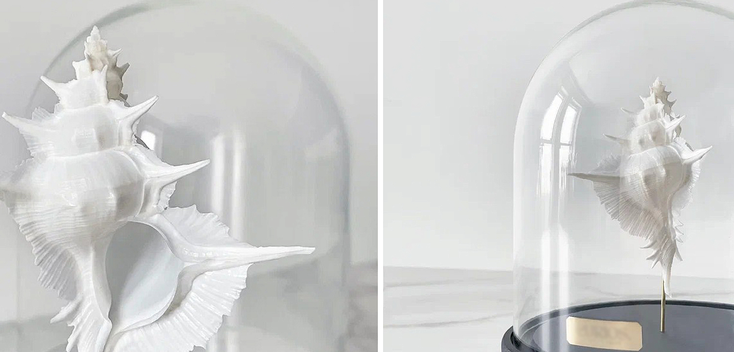 Статуэтка Murex Alabaster Glass Cloche Статуэтка Murex Alabaster Glass Cloche - Loft-Concept в Саратове