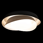 Потолочный светильник круглый черного цвета из металла Vita Cuna варинант исполнения - 1 | Loft Concept в Саратове