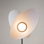 Напольный светильник Evolution 3000К 12Вт варинант исполнения - 5 | Loft Concept в Саратове