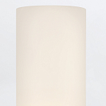 Бра для ванных комнат вертикальное с двумя матовыми белыми стеклянными плафонами Hinkley варинант исполнения - 4 | Loft Concept в Саратове