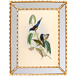 Постер с изображением птиц и цветов в зеркальной раме Blooming Birds Poster варинант исполнения - 5 | Loft Concept в Саратове