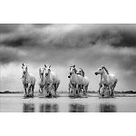 Книга Beusker. Look into my Eyes варинант исполнения - 4 | Loft Concept в Саратове