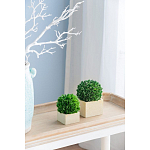 Декоративный искусственное растение Square boxwood варинант исполнения - 5 | Loft Concept в Саратове