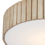 Потолочный светильник круглый светодиодный Contrasting Elements варинант исполнения - 1 | Loft Concept в Саратове