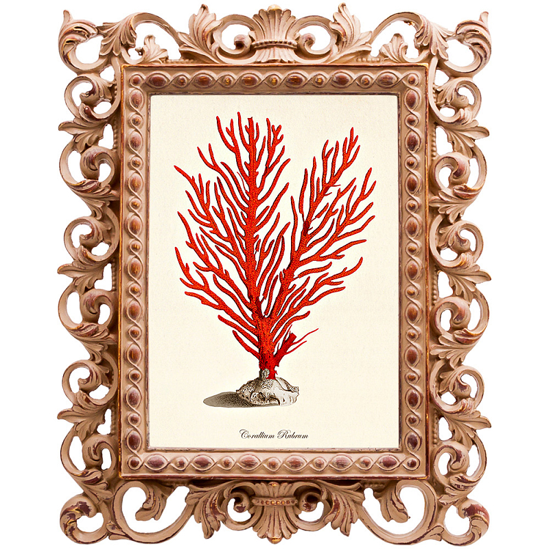Постер Red Coral Poster 1 Бежевый Красный Постер Red Coral Poster 1 Бежевый Красный в Саратове | Loft Concept