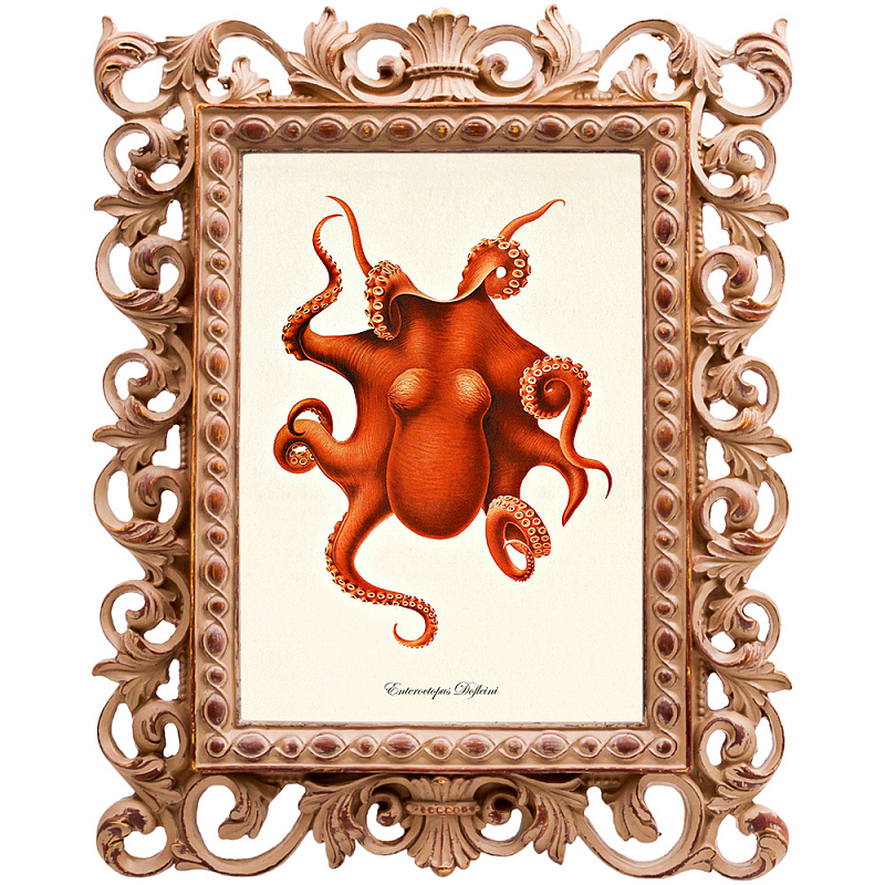 Постер Red Octopus Poster Бежевый Красный в Саратове | Loft Concept 