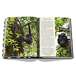 Подарочнный коллекционный фото альбом AFRICAN ADVENTURES NEW 2023 ASSOULINE HC UNBELIEVABLE ILLUSTRATIONS Safari варинант исполнения - 8 | Loft Concept в Саратове