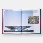 Radical Architecture of the Future варинант исполнения - 4 | Loft Concept в Саратове