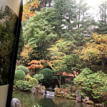 Книга Kengo Kuma: Japanese Portland Garden Bognar Botond, Bognar Balazs варинант исполнения - 2 | Loft Concept в Саратове