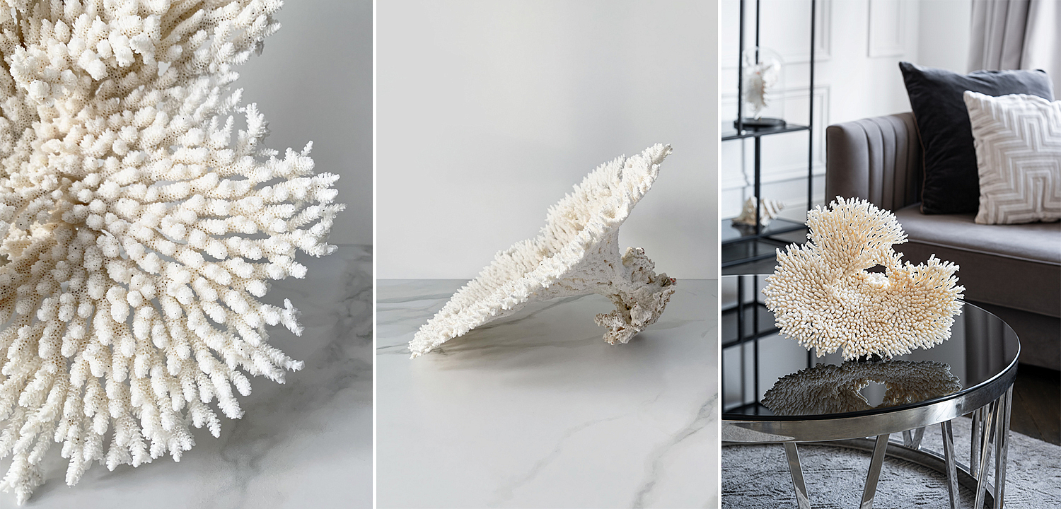 Статуэтка Table Coral Статуэтка Table Coral - Loft-Concept в Саратове
