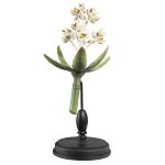 Статуэтка Wonderboom варинант исполнения - 1 | Loft Concept в Саратове