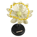 Статуэтка Tilia варинант исполнения - 1 | Loft Concept в Саратове