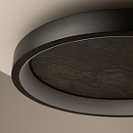 Потолочный светильник Orign 3000К варинант исполнения - 5 | Loft Concept в Саратове