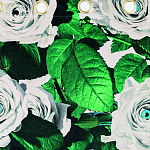 Штора Seletti Roses варинант исполнения - 1 | Loft Concept в Саратове