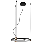 Люстра подвесная светодиодная черный металл Ring Horizontal варинант исполнения - 2 | Loft Concept в Саратове