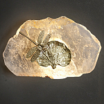 Бра Декоративный лист с стрекозой Glacial Fragment варинант исполнения - 2 | Loft Concept в Саратове