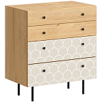 Комод с принтом на ящиках Elise Chest of Drawers варинант исполнения - 9 | Loft Concept в Саратове
