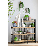 Кашпо Curly baby варинант исполнения - 4 | Loft Concept в Саратове