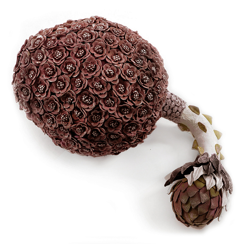 Коричневый фрукт Exotic Fruit Artichoke Brown 42 Коричневый Коричневый фрукт Exotic Fruit Artichoke Brown 42 Коричневый в Саратове | Loft Concept
