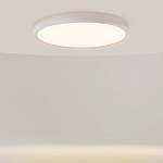 Потолочный светильник Incognito 2700-4000К 46Вт варинант исполнения - 2 | Loft Concept в Саратове