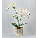 Декоративный искусственное растение Lush Orchid варинант исполнения - 2 | Loft Concept в Саратове