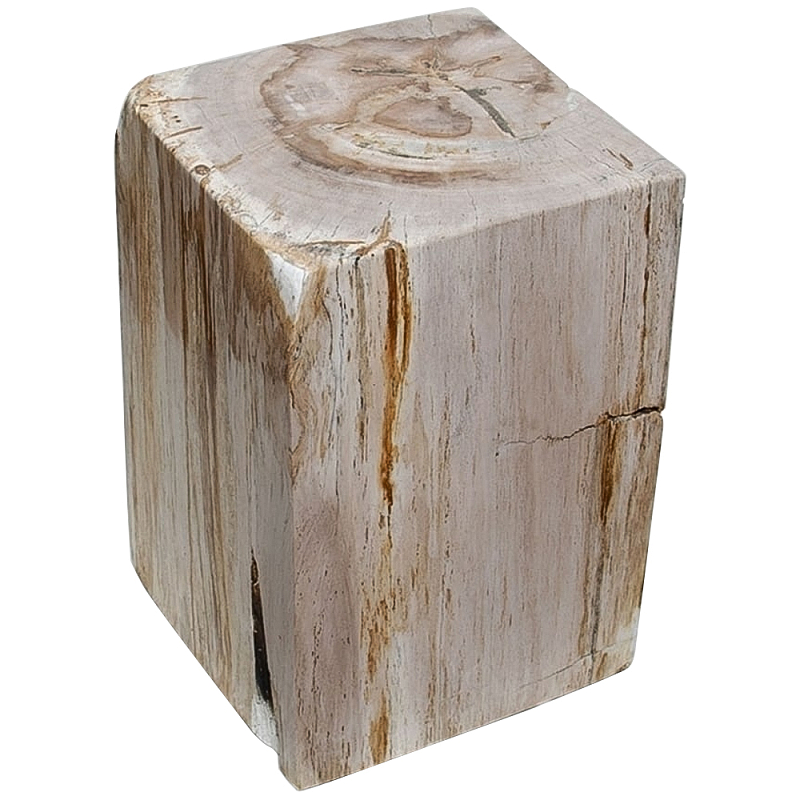 Стул из окаменелого дерева Petrified Wood Square Бежевый в Саратове | Loft Concept 