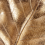 Статуэтка Metal Flowers Gold Black powder варинант исполнения - 2 | Loft Concept в Саратове