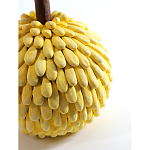 Статуэтка тропический фрукт Pandora Tropical Fruit Yellow Emerald Flower варинант исполнения - 2 | Loft Concept в Саратове