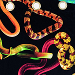 Штора Seletti Snakes Black варинант исполнения - 1 | Loft Concept в Саратове