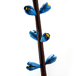 Синий экзотический фрукт статуэтка для интерьераTropical Fruit Pandora 9 варинант исполнения - 2 | Loft Concept в Саратове