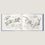 Лимитированная подарочная книга HERMES Fierce and Fragile book, English version варинант исполнения - 4 | Loft Concept в Саратове