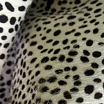 Мебельная ткань Искусственный мех  белый леопард 90 см T5-3 варинант исполнения - 4 | Loft Concept в Саратове