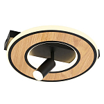 Потолочный светильник круглый GAVIN WOOD варинант исполнения - 1 | Loft Concept в Саратове