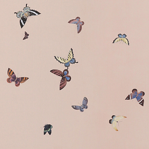 Обои ручная роспись Butterflies Icarus on Gentleman`s Pink dyed silk