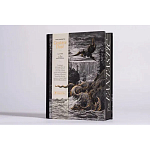 Книга Fantastic Gustave Dore варинант исполнения - 3 | Loft Concept в Саратове