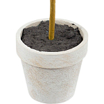 Декоративный искусственное растение Boxwood One варинант исполнения - 3 | Loft Concept в Саратове