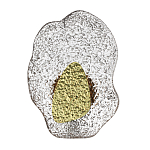 Бра с рельефным волнообразным стеклянным плафоном и вставкой из мрамора Liquid Stone варинант исполнения - 1 | Loft Concept в Саратове