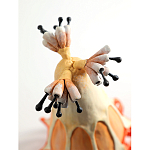 Статуэтка тропический фрукт Pandora Tropical Fruit Orange варинант исполнения - 3 | Loft Concept в Саратове